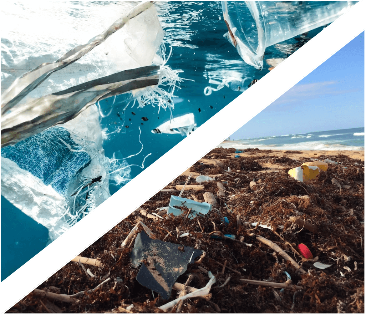 plastic waste and garbage on beach